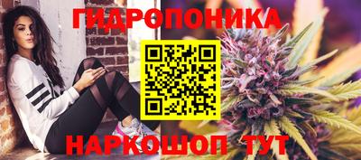 герыч Камышлов