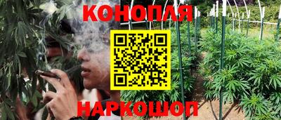 герыч Камышлов