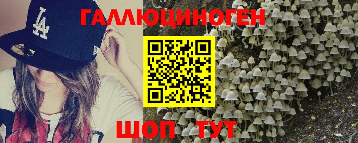 Галлюциногенные грибы Magic Shrooms  Вход с VPN  купить наркотики цена  Псилоцибиновые грибы мухоморы  Кузнецк 